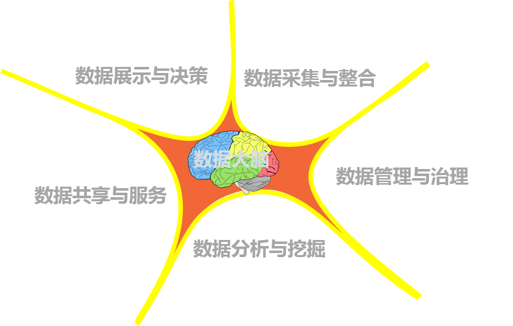 数据大脑图.png